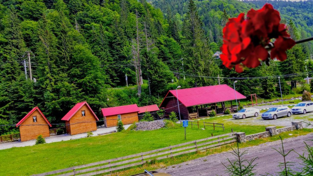 Casa Miorita Villa Cumpăna Eksteriør bilde