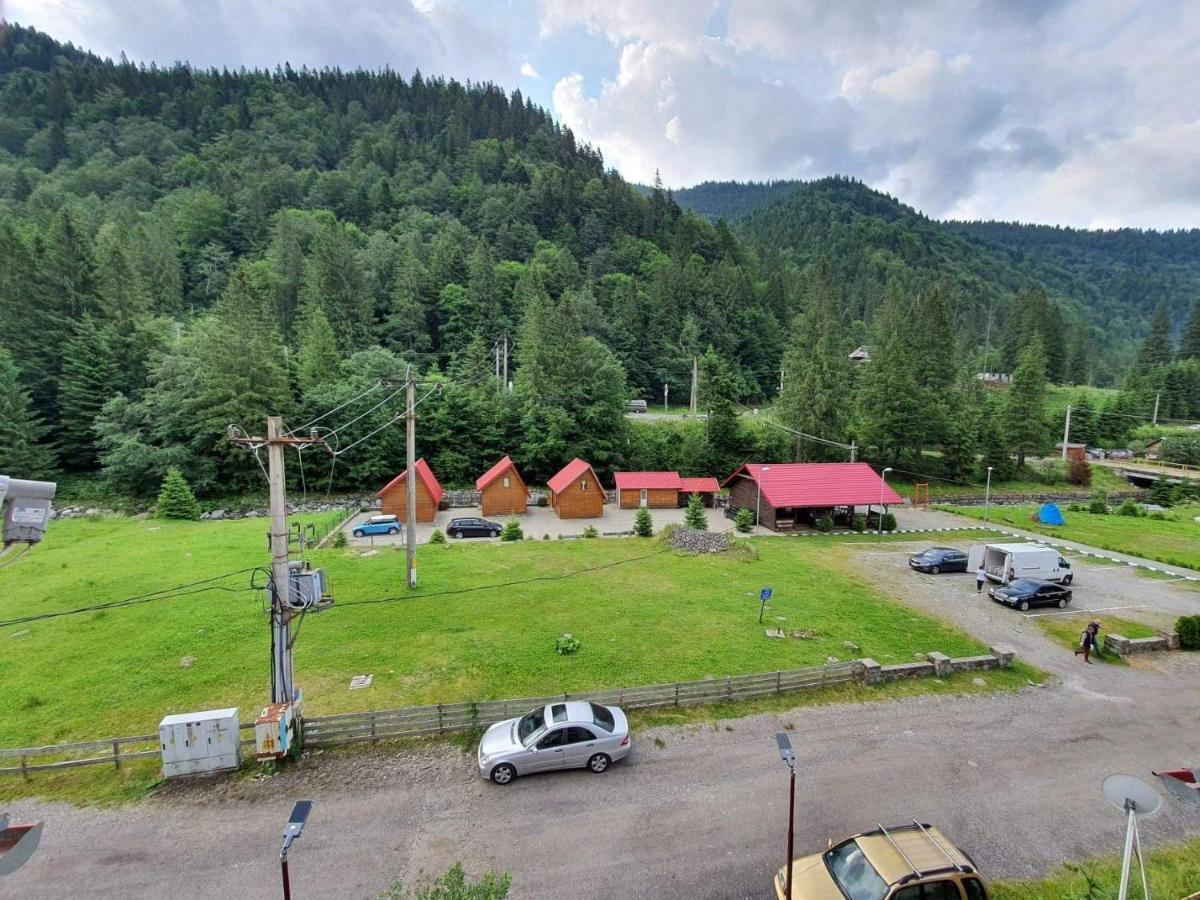 Casa Miorita Villa Cumpăna Eksteriør bilde